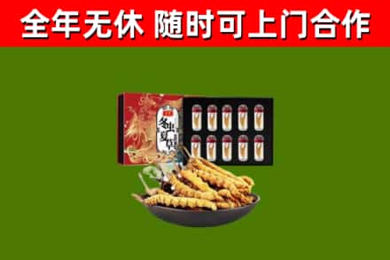 利川回收冬虫夏草价格